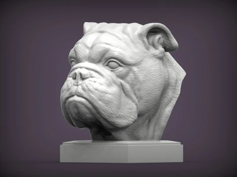 Englische Bulldogge 3D Druckmodell
