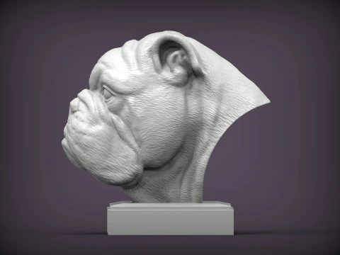 English bulldog 3D Print Model