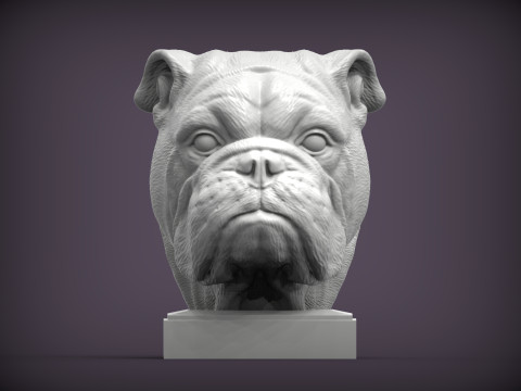 English bulldog 3D 프린트 모델