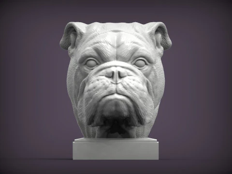 English bulldog 3D Print Model