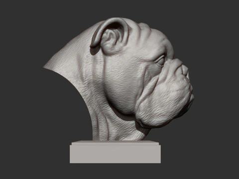 English bulldog 3D Print Model