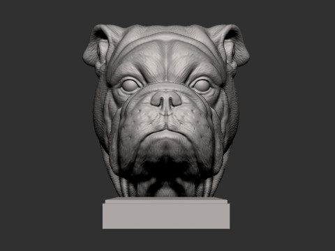 English bulldog 3D 프린트 모델