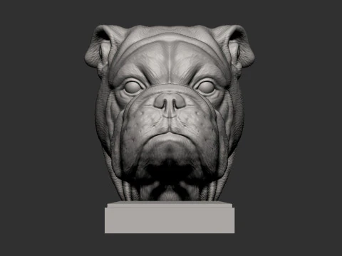 English bulldog 3D Print Model