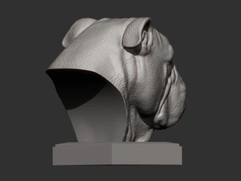 English bulldog 3D Print Model