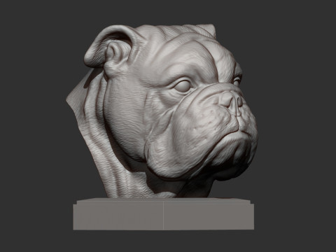 English bulldog 3D 프린트 모델