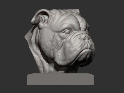 English bulldog 3D Print Model