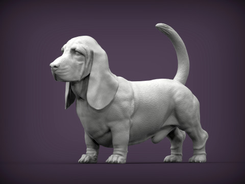 Basset hound Modelo de impresión 3D