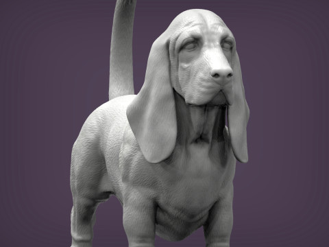 Basset hound Model do druku 3D