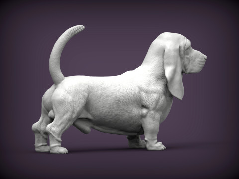 Basset hound Model do druku 3D