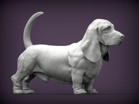 Basset hound Model do druku 3D