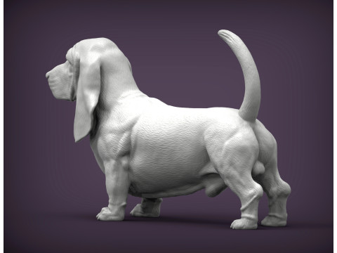 Basset hound Model do druku 3D