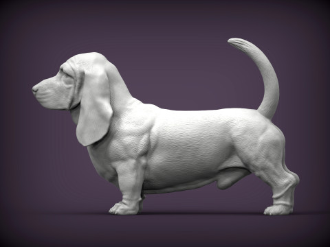 Basset hound Model do druku 3D
