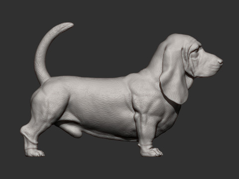 Basset hound Model do druku 3D