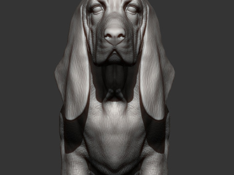 Basset hound Model do druku 3D