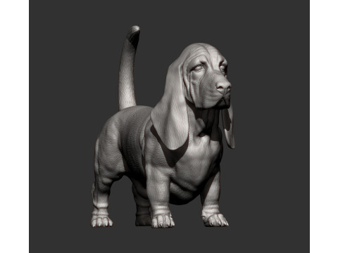 Basset hound Model do druku 3D