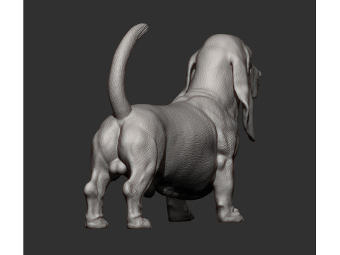 Basset hound Model do druku 3D