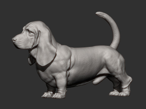 Basset hound Model do druku 3D