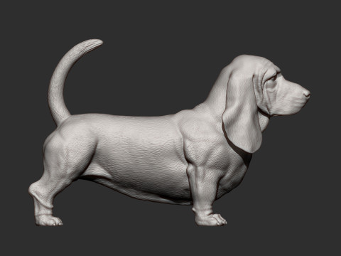 Basset hound Model do druku 3D