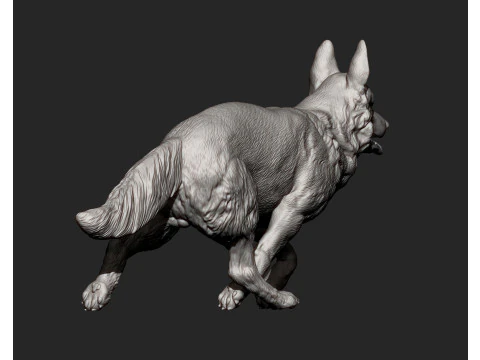 German Shepherd 3D Print Model