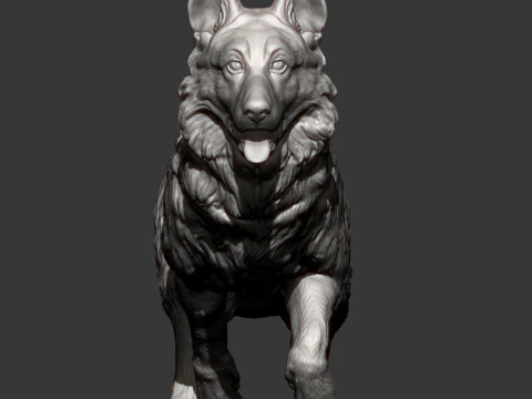 German Shepherd 3D Print Model