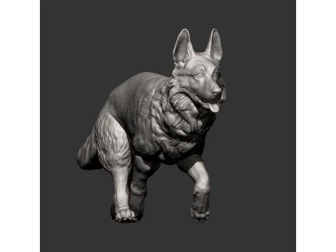 German Shepherd 3D Print Model