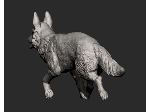 German Shepherd 3D Print Model