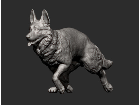 German Shepherd 3D-printmodel