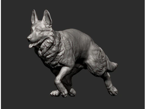 German Shepherd 3D Print Model