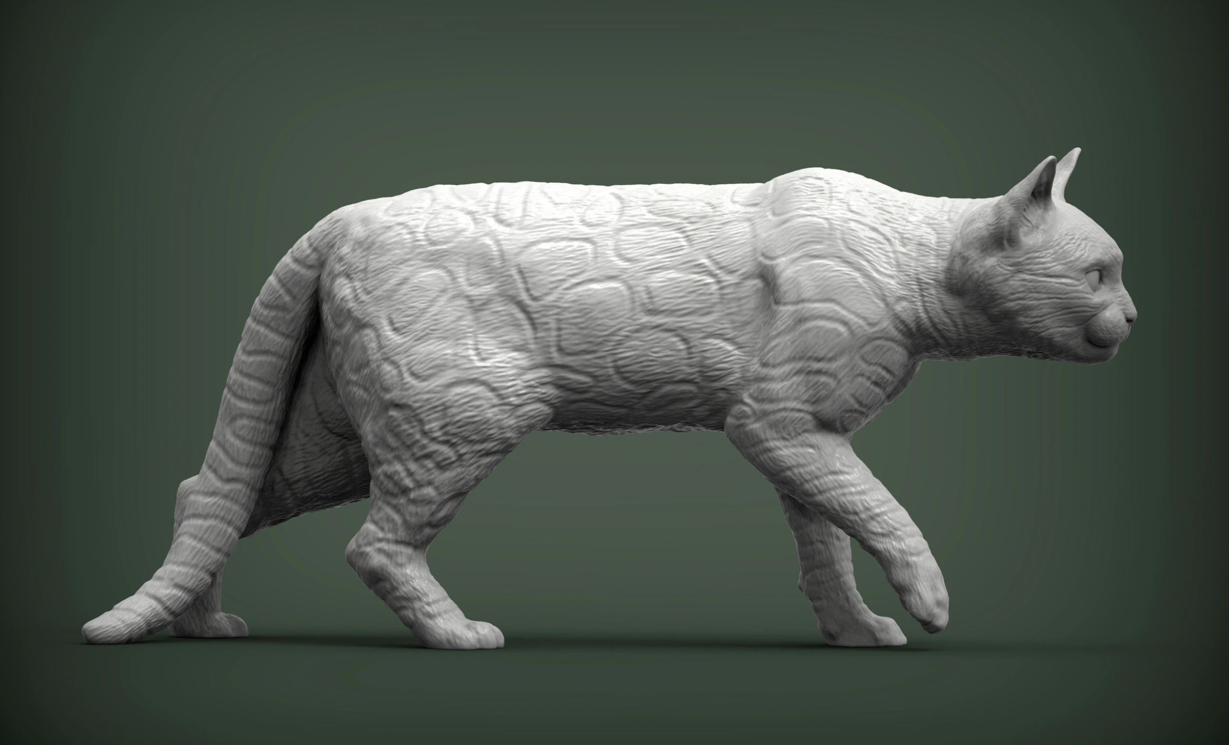 Bengal cat 3D Print Model .c4d .max .obj .3ds .fbx .stl .blend