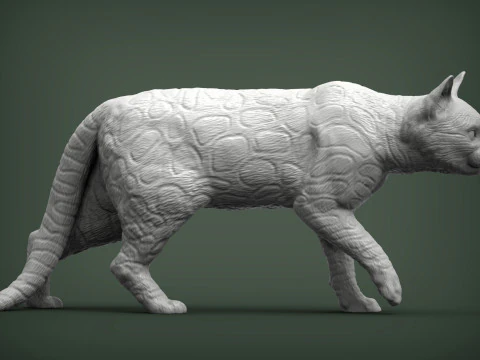Chat du Bengale Modèles 3D en vedette
