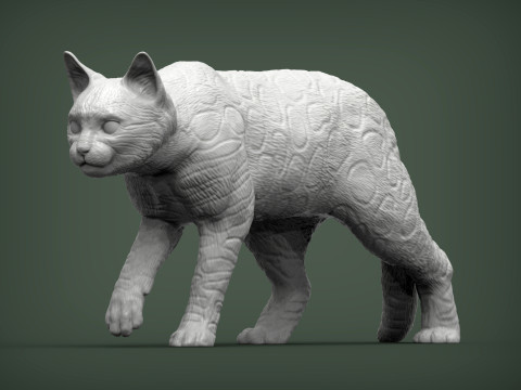 Bengal cat 3D Print Model