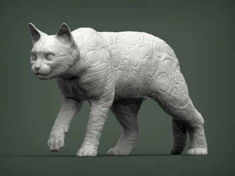 Bengal cat 3D Print Model