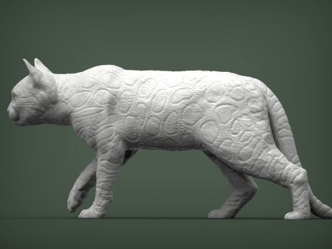 Bengal cat 3D Print Model