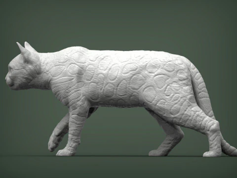 Bengal cat 3D Print Model
