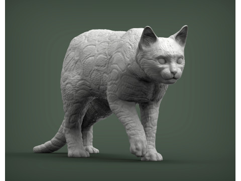 Bengal cat 3D Print Model