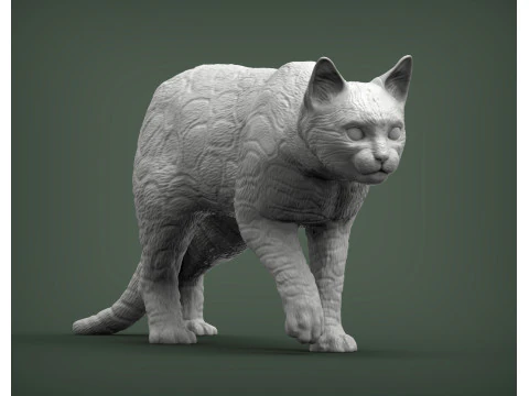 Bengal cat 3D Print Model