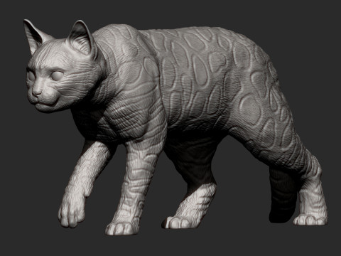 Bengal cat 3D Print Model