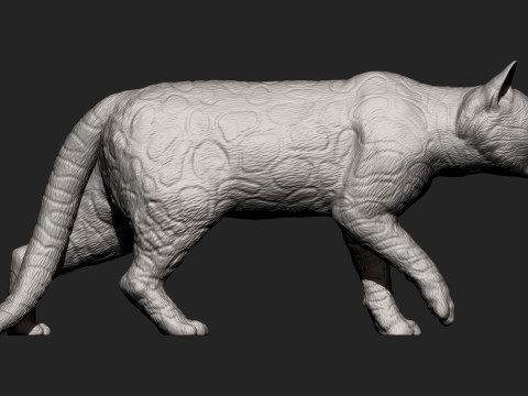 Bengal cat 3D Print Model