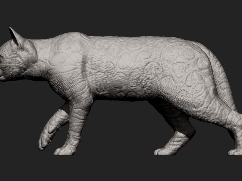 Bengal cat 3D Print Model
