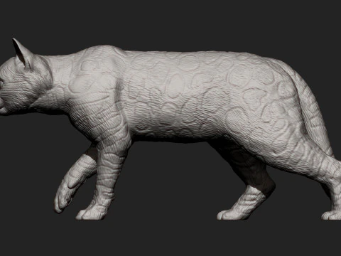 Bengal cat 3D Print Model