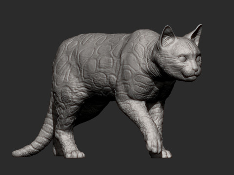 Bengal cat 3D Print Model