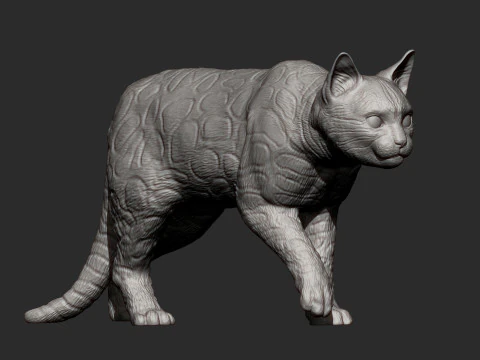 Bengal cat 3D Print Model