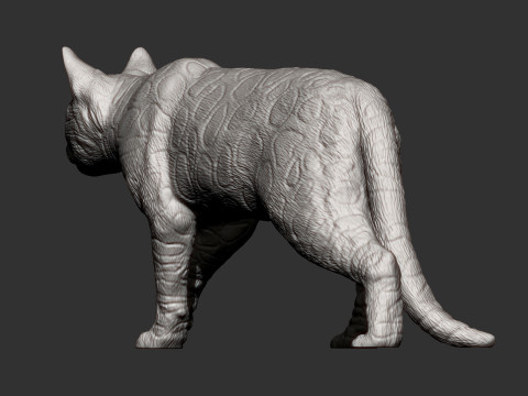 Bengal cat 3D Print Model