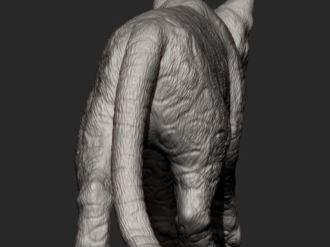 Bengal cat 3D Print Model
