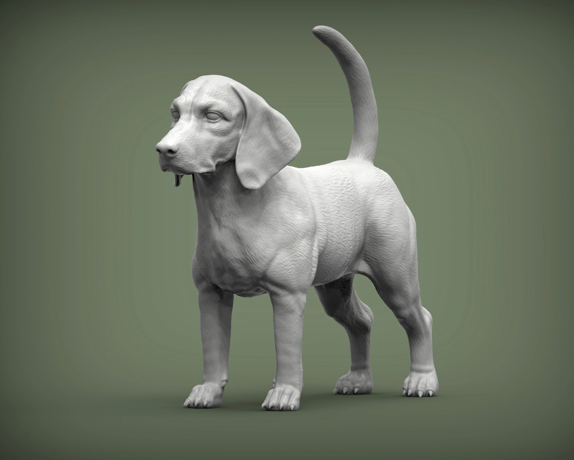 Pies rasy beagle Model do druku 3D .c4d .max .obj .3ds .fbx .stl .blend 
