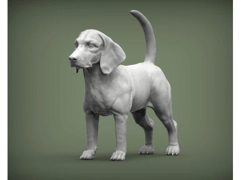 बीगल कुत्ता 3D प्रिंट मॉडल