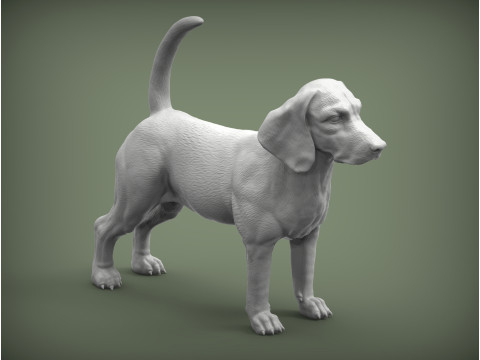 Beagle dog 3D 打印模型