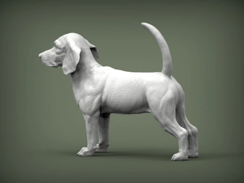 Pies rasy beagle Model do druku 3D