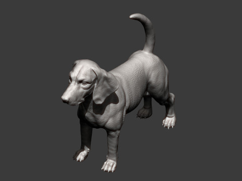 Beagle dog 3D 打印模型