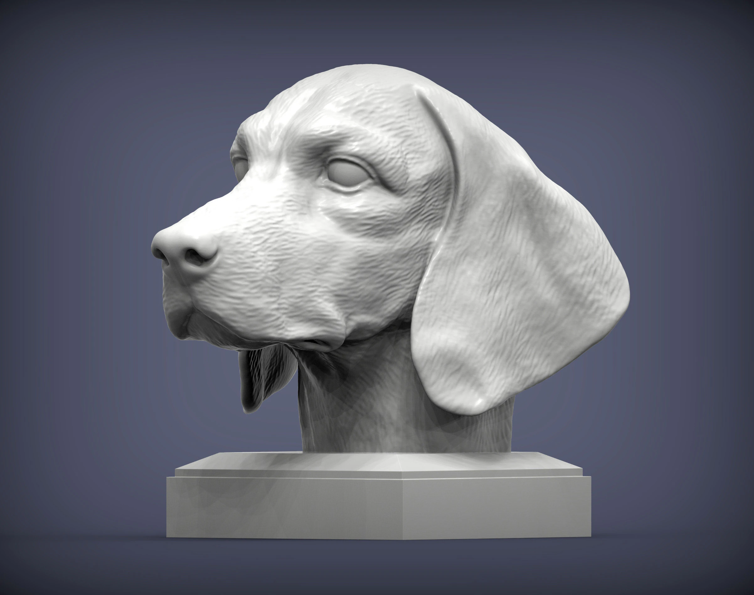 Beagle bust 3D Print Model .c4d .max .obj .3ds .fbx .stl .blend 